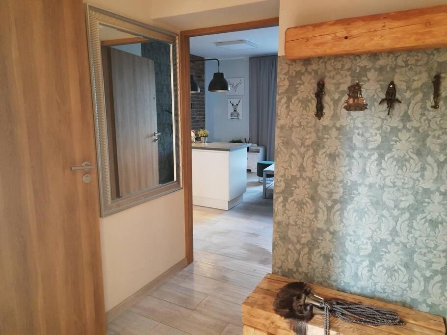 Apartmán Urocze Mieszkanie 1 Z Parkingiem Katovice